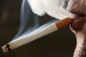 No Smoke Without Fire